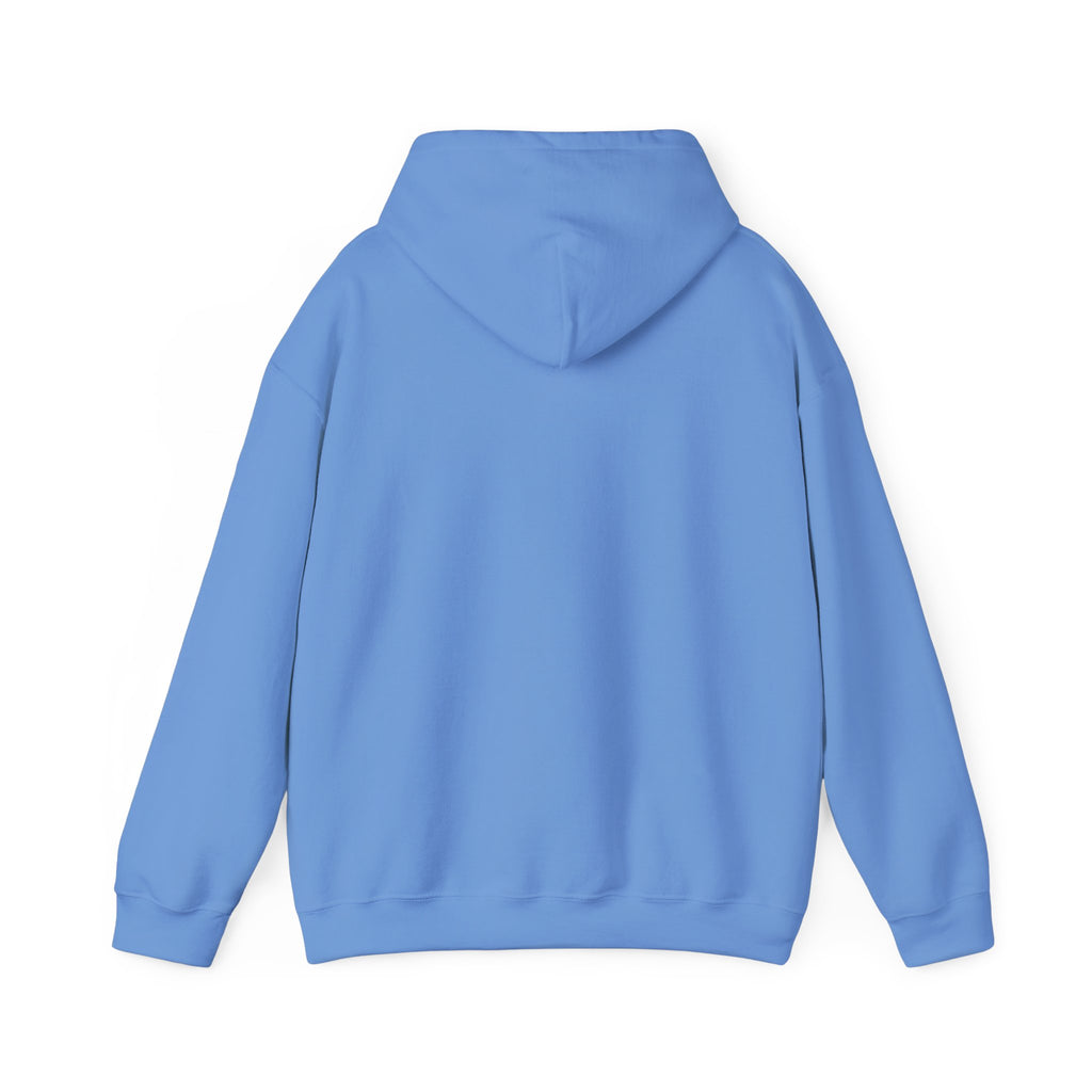 Cluck Around & Find Out Hoodie | Chicken Cartoon Graphic Sweatshirt