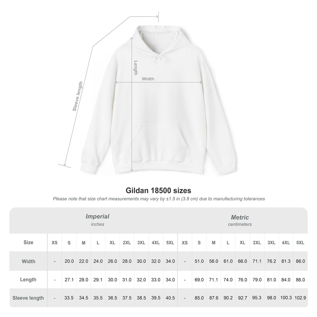 Cluck Around & Find Out Hoodie | Chicken Cartoon Graphic Sweatshirt