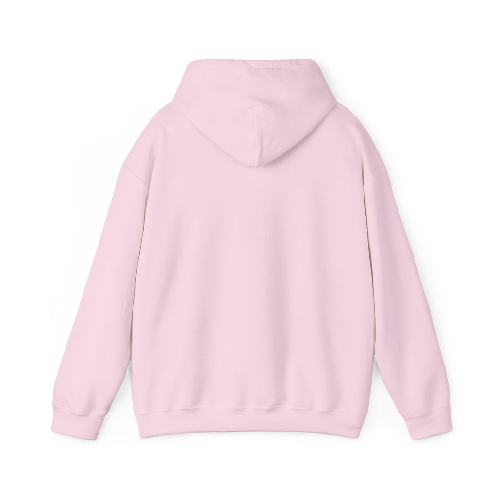 Cluck Around & Find Out Hoodie | Chicken Cartoon Graphic Sweatshirt