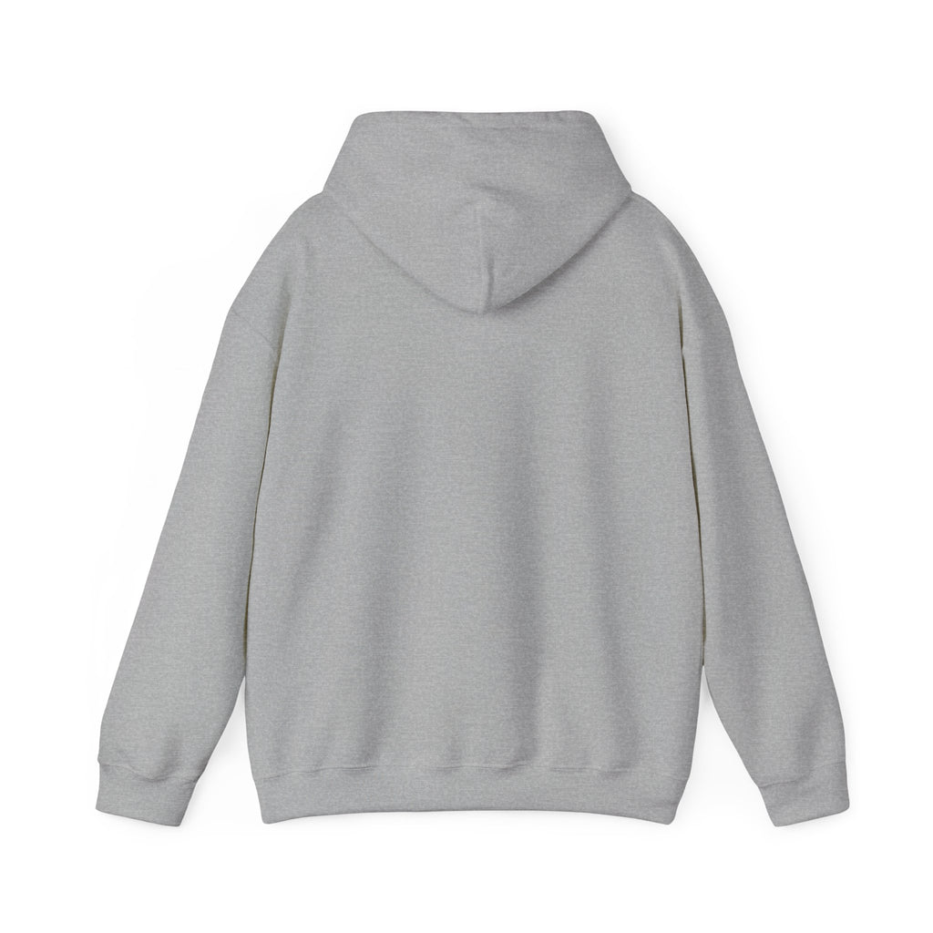 Cluck Around & Find Out Hoodie | Chicken Cartoon Graphic Sweatshirt