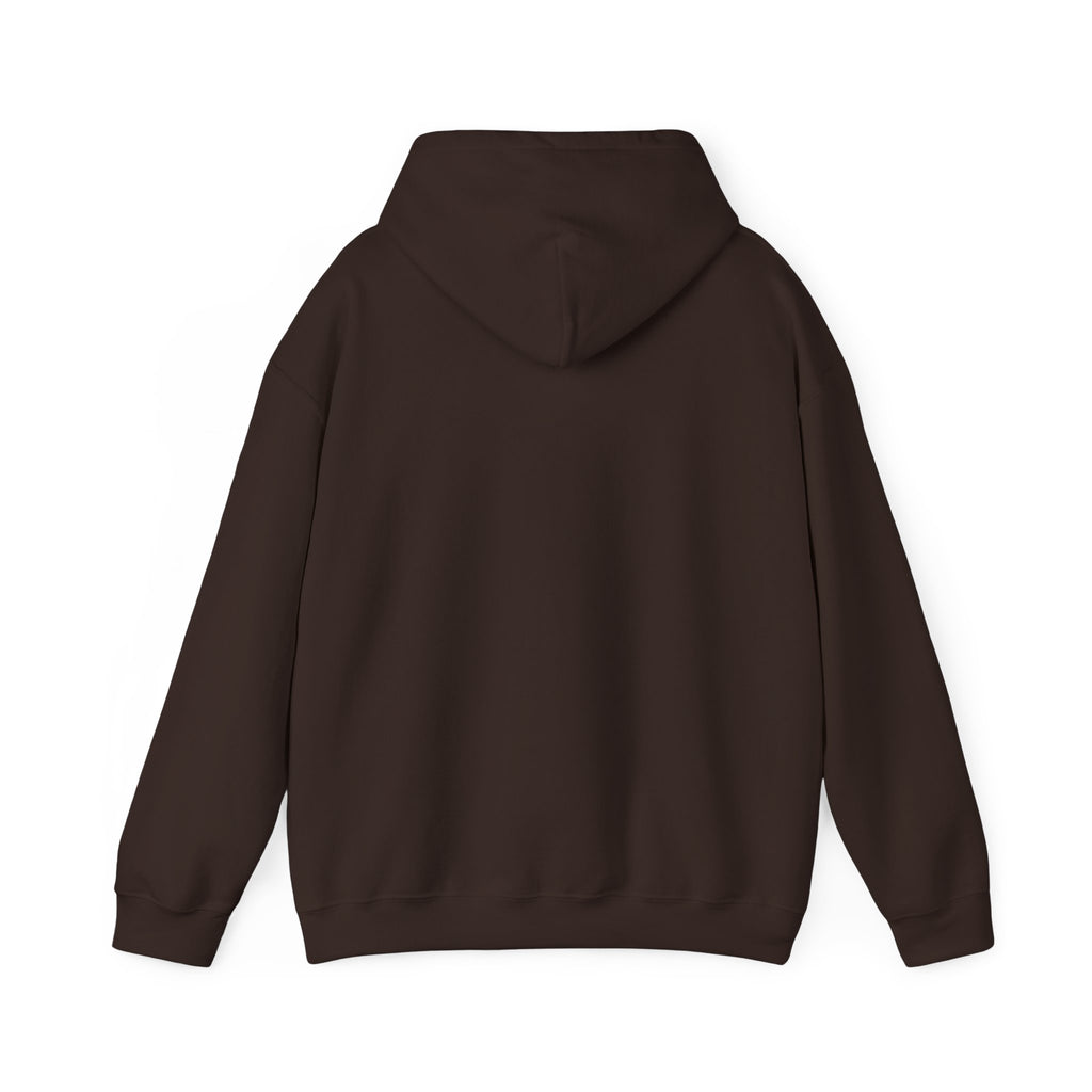 Cluck Around & Find Out Hoodie | Chicken Cartoon Graphic Sweatshirt